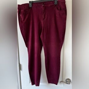 Rue+ Burgundy Jeans size 24w